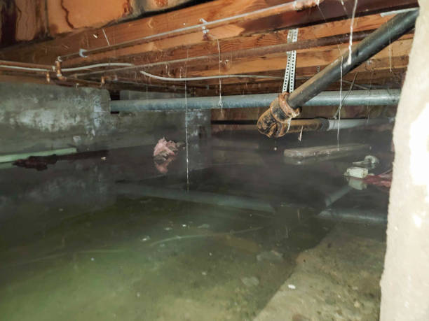 Professional Water damage restoration in Castlewood, VA